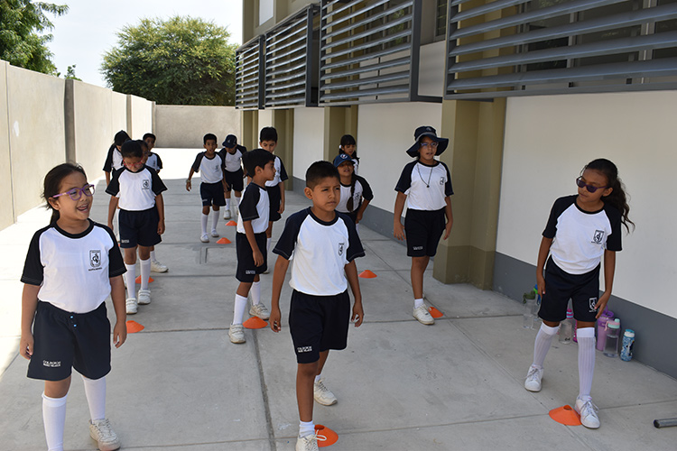 primaria