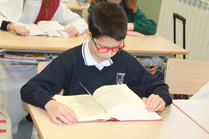 primaria