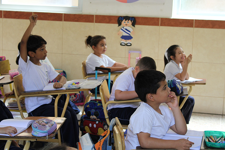 Primer Ciclo