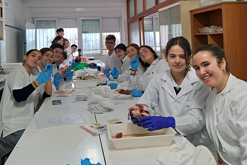 bachillerato